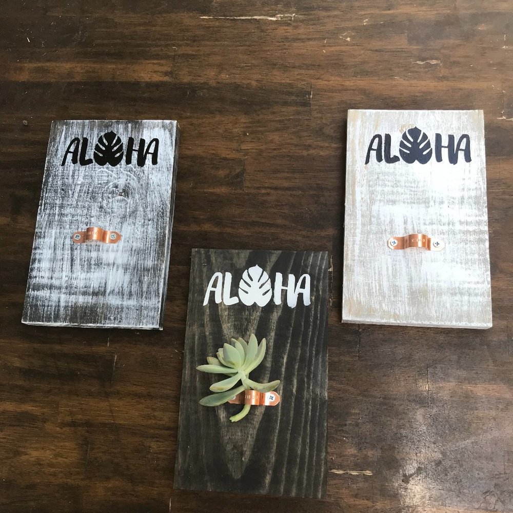 Handmade Air plant/Succulent Signs
